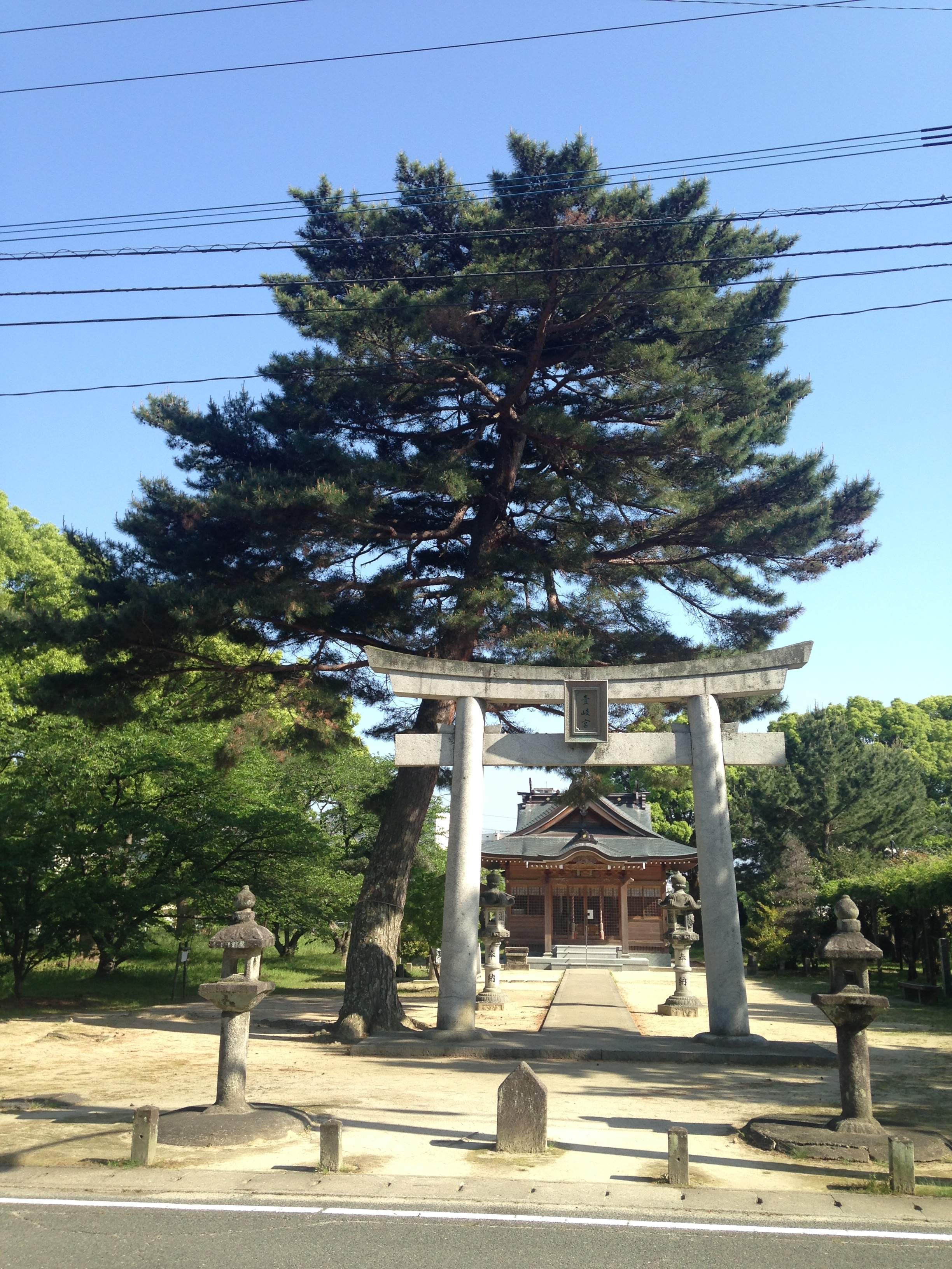 ⛩️ 전조 신사(사키토리 진자) 이미지 8